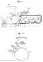 Fig. 02 - Electrophotographic image forming apparatus and method of developing an image
