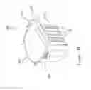 Fig. 32 - Landscaping products including continuous chamber mass confinement cells and methods of use thereof