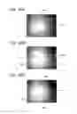 Fig. 48 - Chip using method and test chip
