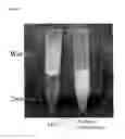 Fig. 08 - Organically modified fine particles