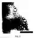 Fig. 06 - Ropes comprised of single-walled and double-walled carbon nanotubes
