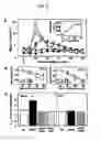 Fig. 06 - Method of evaluating organ function