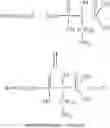 Fig. 02 - Bisphosphonate resinates