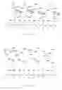 Fig. 08 - Polymerized and modified rapamycins and their use in coating medical prostheses