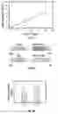 Fig. 02 - Raav vector-based compositions and methods for the prevention and treatment of mammalian diseases