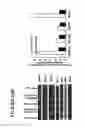 Fig. 17 - Methods for improving immunotherapy by enhancing survival of antigen-specific cytotoxic T lymphocytes