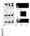 Fig. 21 - Methods for improving immunotherapy by enhancing survival of antigen-specific cytotoxic T lymphocytes