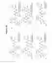 Fig. 09 - Methods and compositions for derepression of IAP-inhibited caspase