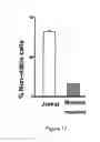 Fig. 35 - Methods and compositions for derepression of IAP-inhibited caspase