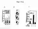 Fig. 02 - Stem cells having increased sensitivity to SDF-1 and methods of generating and using same