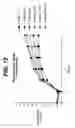 Fig. 20 - Anti-TNF antibodies, compositions, methods and uses