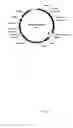Fig. 69 - Ligands that have binding specificity for VEGF and/or EGFR and methods of use therefor
