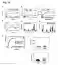 Fig. 22 - Cross-beta structure comprising amyloid binding proteins and methods for detection of the cross-beta structure, for modulating cross-beta structures fibril formation and for modulating cross-beta structure-mediated toxicity and method for interfering with blood coagulation