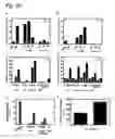 Fig. 24 - Cross-beta structure comprising amyloid binding proteins and methods for detection of the cross-beta structure, for modulating cross-beta structures fibril formation and for modulating cross-beta structure-mediated toxicity and method for interfering with blood coagulation