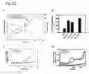 Fig. 28 - Cross-beta structure comprising amyloid binding proteins and methods for detection of the cross-beta structure, for modulating cross-beta structures fibril formation and for modulating cross-beta structure-mediated toxicity and method for interfering with blood coagulation