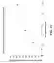 Fig. 12 - VARIABLE HEAVY CHAIN AND VARIABLE LIGHT CHAIN REGIONS OF ANTIBODIES TO HUMAN PLATELET GLYCOPROTEIN IB ALPHA