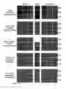 Fig. 01 - Virus strains