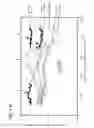 Fig. 08 - Genome of the HIV-1 inter-subtype (C/B') and use thereof