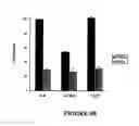Fig. 07 - Chimeric protein comprising non-toxic pseudomonas exotoxin and type IV pilin sequences