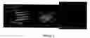 Fig. 02 - Three dimensional micro-environments and methods of making and using same