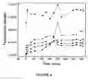 Fig. 08 - Three dimensional micro-environments and methods of making and using same
