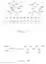 Fig. 09 - Polymerized and modified rapamycins and their use in coating medical prostheses