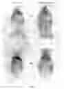 Fig. 06 - Neutral liposome-encapsulated compounds and methods of making and using thereof