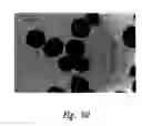 Fig. 71 - Anti-angiogenic compositions and methods of use
