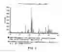 Fig. 02 - Synthetic calcium phosphate comprising silicon and trivalent cation