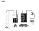 Fig. 02 - Process for controlling the isomerization of (-)-epicatechin and (+)-catechin in edible products