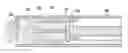 Fig. 01 - Brake for molding machine valve