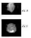 Fig. 06 - Enhanced filamentous silicone products and processes