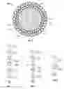 Fig. 04 - BIMETALLIC MATERIALS FOR OILFIELD APPLICATIONS