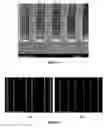 Fig. 02 - Compositions and methods for image development of conventional chemically amplified photoresists