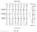 Fig. 09 - Tooth path treatment plan