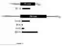 Fig. 02 - RNA sequence-specific mediators of RNA interference