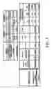Fig. 05 - Genomic sequence of the 5-lipoxygenase-activating protein (FLAP), polymorphic markers thereof and methods for detection of asthma