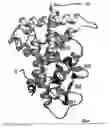 Fig. 02 - Car ligand-binding domain polypeptide co-crystallized with a ligand, and methods of designing ligands that modulate car activity