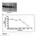 Fig. 07 - Epitope protection assay and method for detecting protein conformations