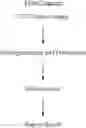 Fig. 02 - Immunological assay for spongiform encephalopathies