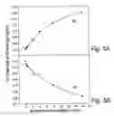 Fig. 06 - Screening method for substance binding to merozoite surface protein-1/42