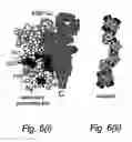 Fig. 07 - Screening method for substance binding to merozoite surface protein-1/42
