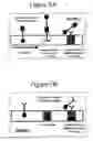 Fig. 08 - Methods and kits for detecting cerebrospinal fluid in a sample