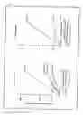 Fig. 07 - Artificial mammalian chromosome