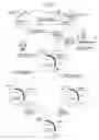 Fig. 06 - Process for producing recombinant protein in bacterium belonging to the genus 