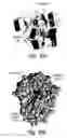 Fig. 13 - 2-O sulfatase compositions and methods of hydrolyzing therewith