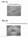 Fig. 03 - Process for producing yeast-derived glucan