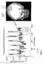 Fig. 08 - Electronically modulated dynamic optical phantoms for biomedical imaging