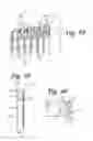 Fig. 47 - Signal measuring system for conducting real-time amplification assays