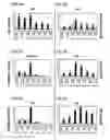 Fig. 06 - Preprimitive streak and mesendoderm cells